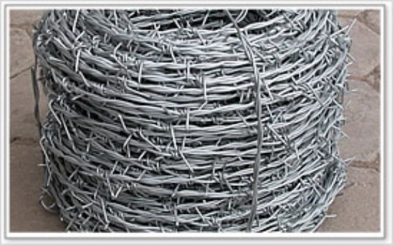 Barbed Wire 